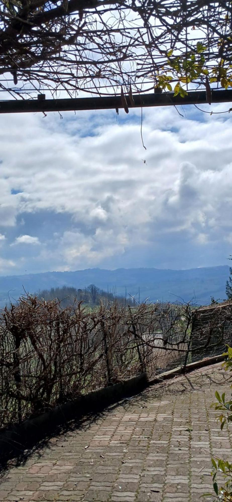 Casa Vacanza Il Colle Del Vento Calosso Екстериор снимка