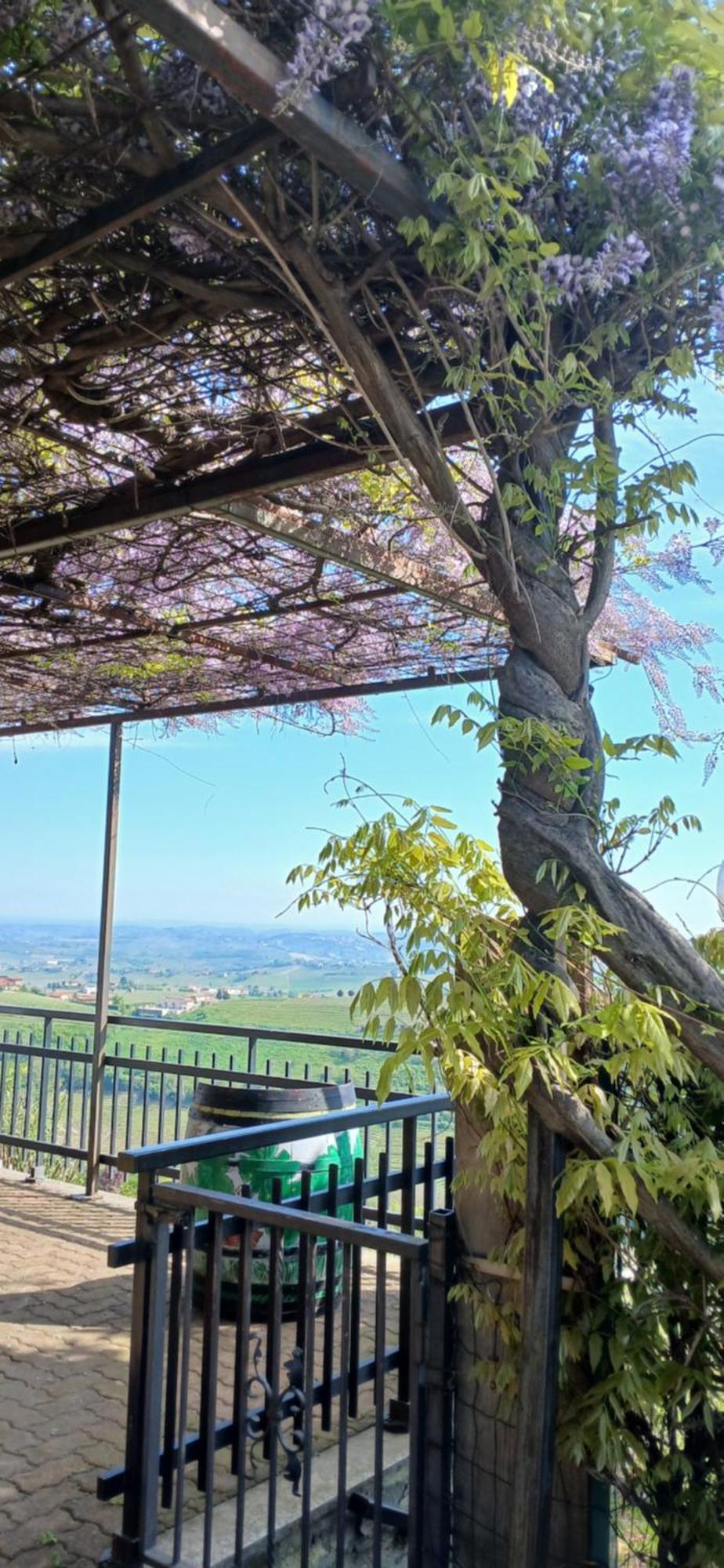 Casa Vacanza Il Colle Del Vento Calosso Екстериор снимка